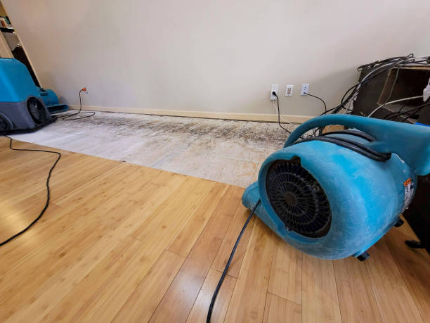 Professional Flood Damage Cleanup technician working in Bowdoinham, ME